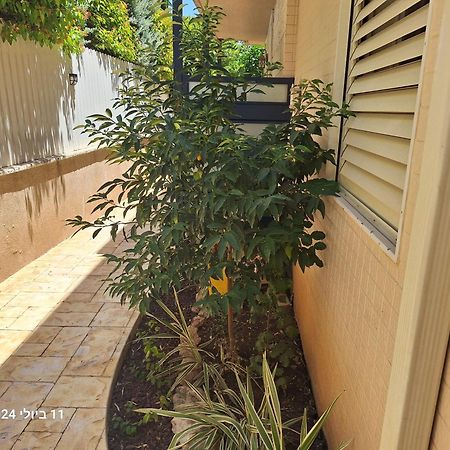 הבית הירוק Hotel Karmiel Exterior foto